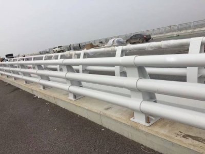 道路不锈钢防撞护栏 白色